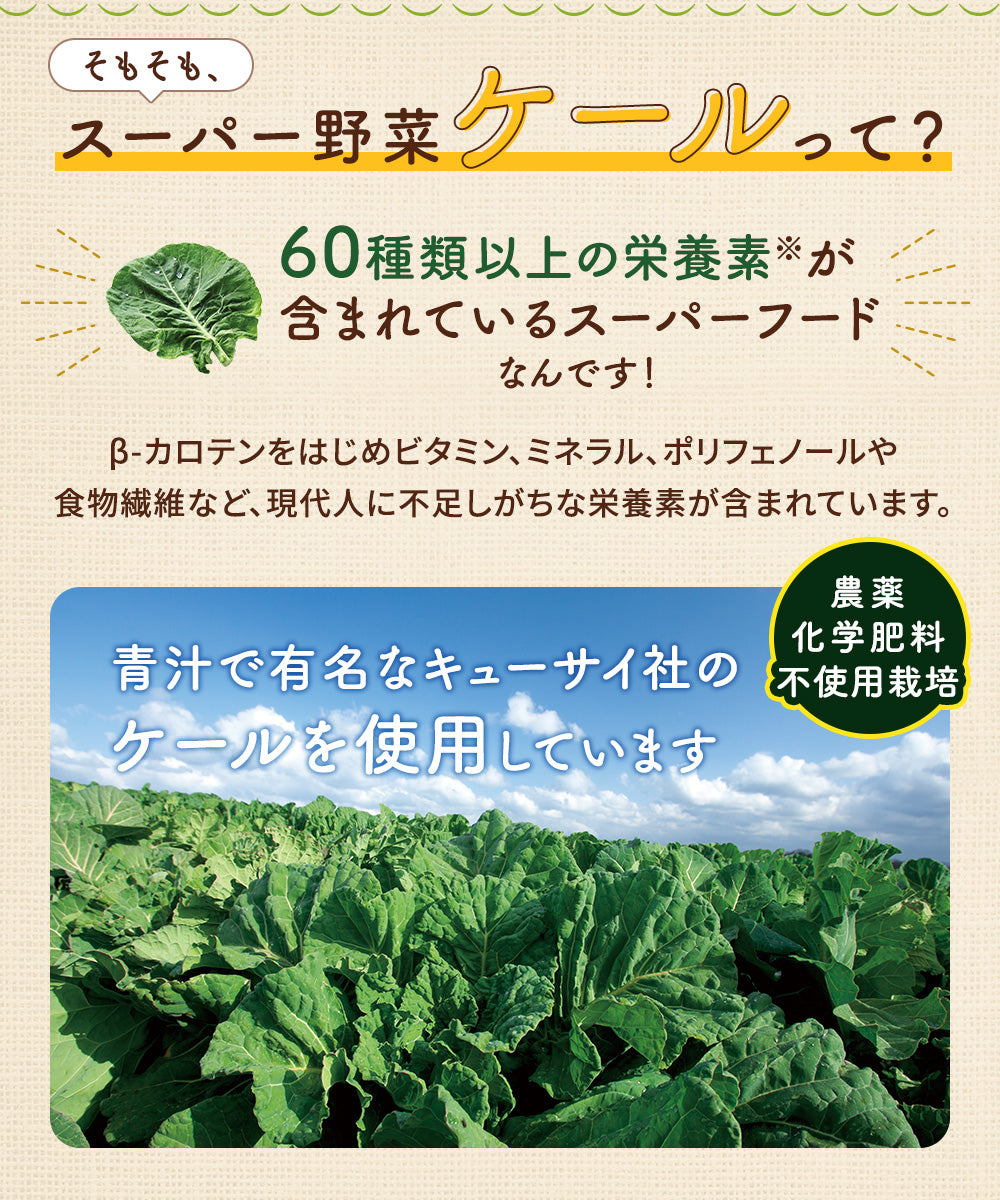 たいようの大麦ケール麺　みそ味スープ　お得なまとめ買いセット