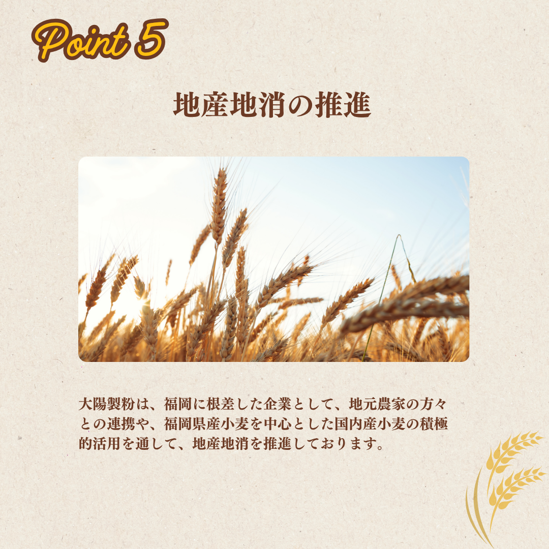 あなたもパン屋さん！　国内産強力粉　