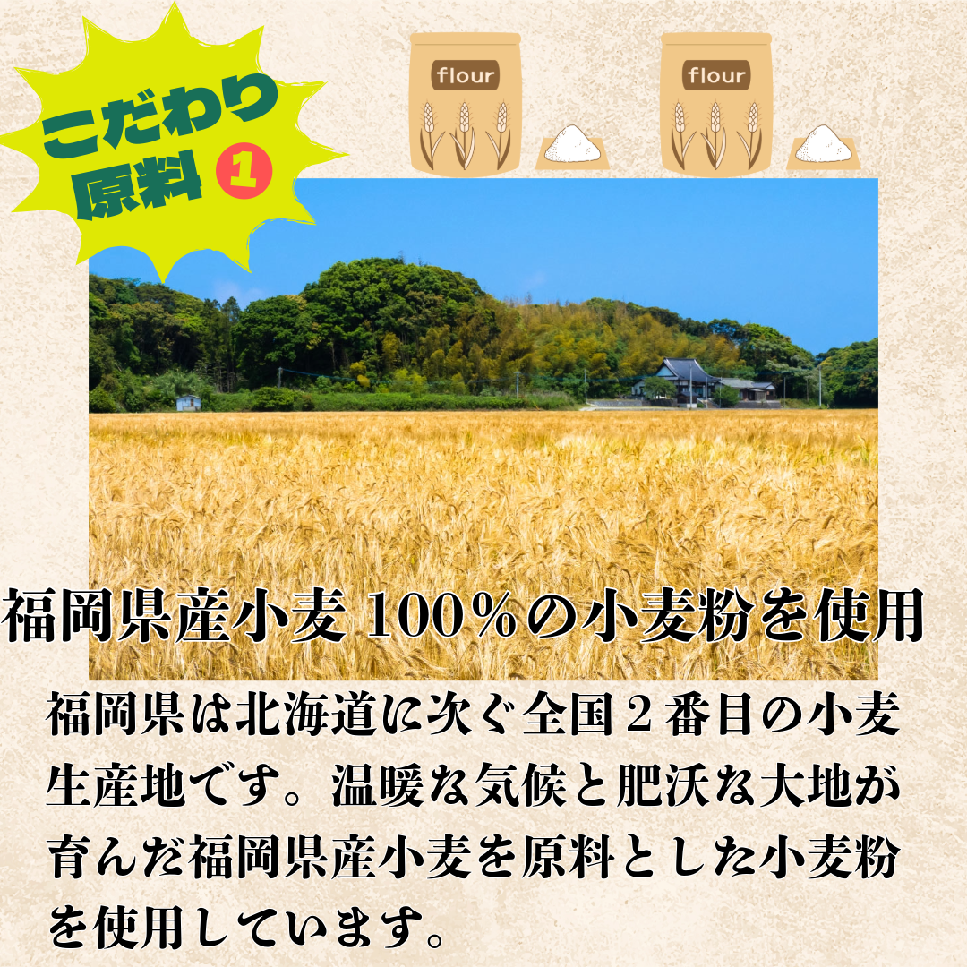 たいようの島原手延べケール素麺