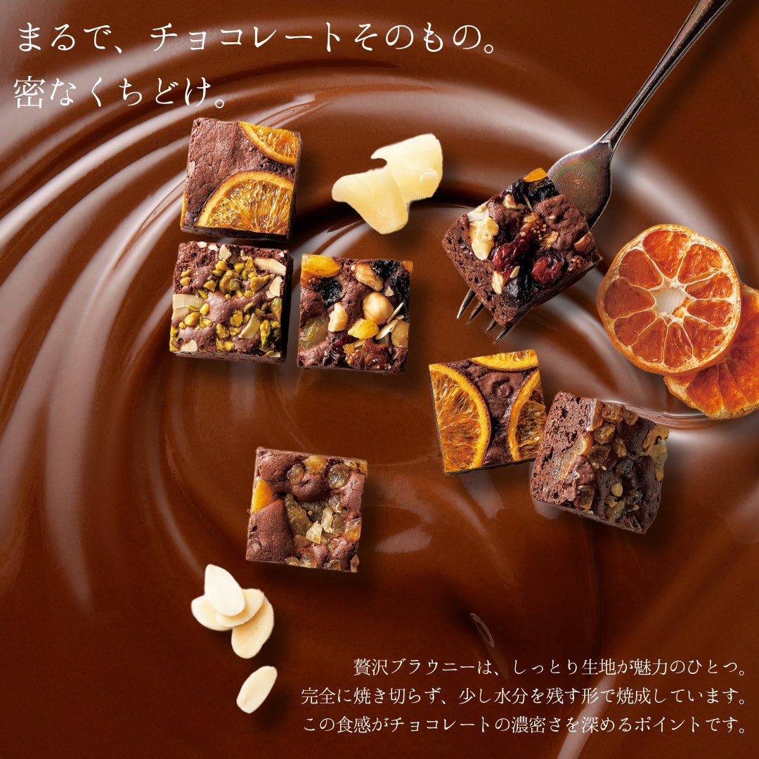 ホシフルーツ ナッツとドライフルーツの贅沢ブラウニー 人気商品  焼き菓子スイーツ お祝い お返し