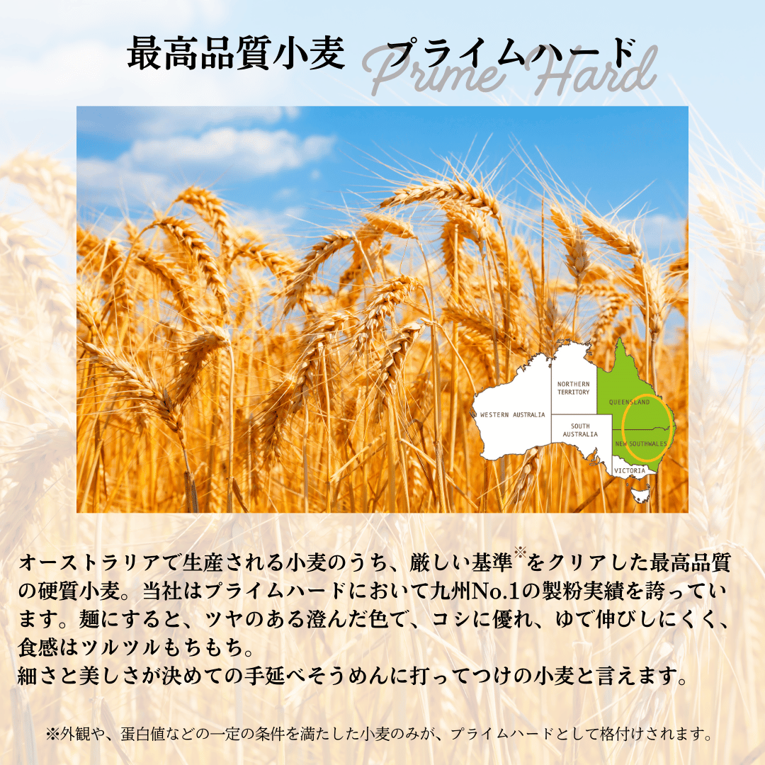 島原手延べそうめん　大容量お得サイズ　5㎏（50g×100束）・9㎏（50g×180束）