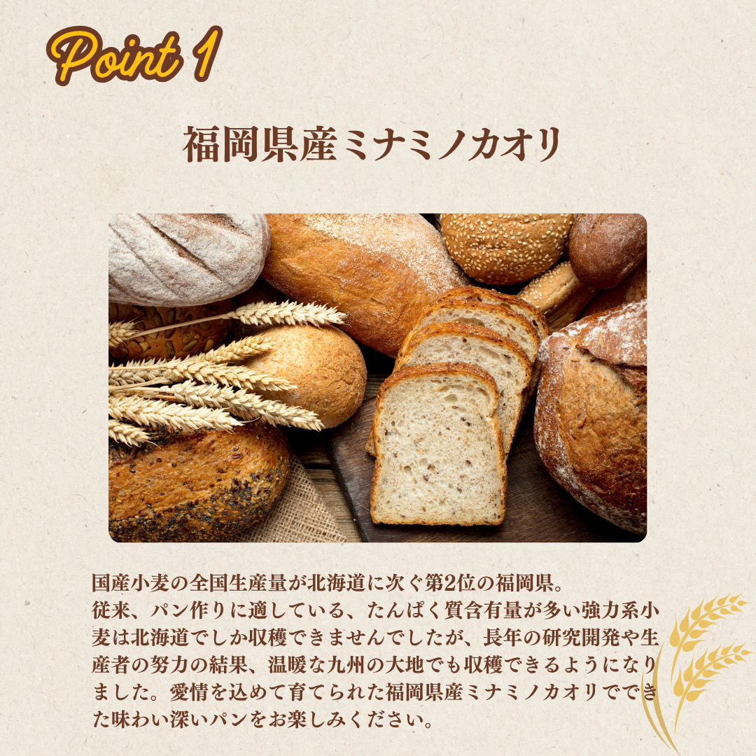 あなたもパン屋さん！　国内産強力粉　