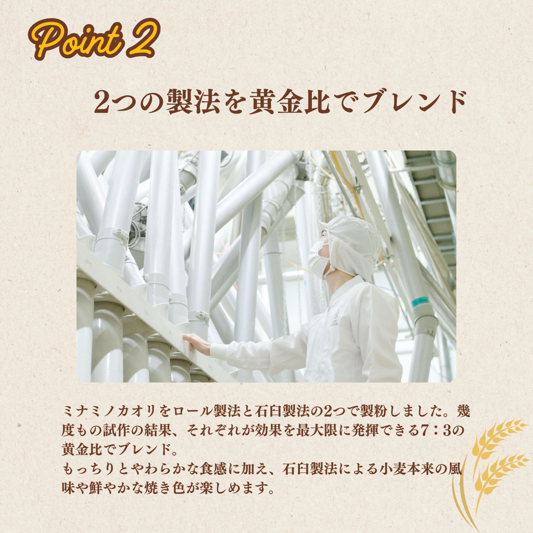 あなたもパン屋さん！　国内産強力粉　