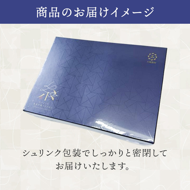 島原手延素麺 「糸」ito　 800ｇ・1.4㎏